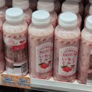 060.반석교회_1 | 삿포로에 가자 -1-