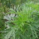 정위농장 이미지