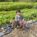 참조은농장 이미지