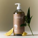 밸런스 바디디자인 이미지