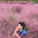 선운산호텔 | 군산 근대화거리~선운산까지 알찬 1박2일 여행 일정표...가족여행 | 군산날씨 | 2025 솔직 후기와 꿀팁