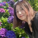 해마루힐링숲민박 이미지