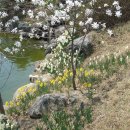 하경 카카오 검색결과