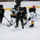 강동유치원 이미지