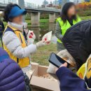 광시다목적광장화장실 | 서울 11월 걷기 축제, 금천 한가족 걷기대회 다녀온 후기