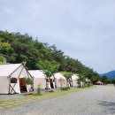 농협신니 | [국내여행/글램핑] 구미/칠곡/대구 대성글램핑장(내 돈으로 다녀온 후기)