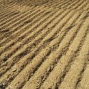 고덕농장 이미지