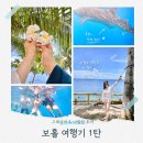 보홀 여행 1탄 | 고래상어 나팔링 투어 프리다이빙 솔직후기 (feat. 맛집 MOSA)