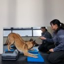 소노펫 스쿨 이미지