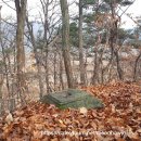 신석리 Daum카페