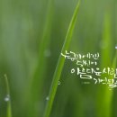 오포1동-4 이미지