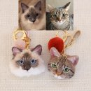 테디펫 | [테디펫 공방] 양모펠트 고양이 주문 제작 후기
