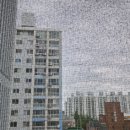 샘물부식