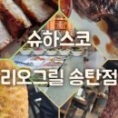 세비체210