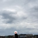 선인장을 부탁해 이미지