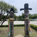 로이애견 이미지