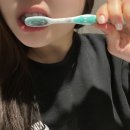 덴티넬 퍼펙티드 고체치약 사용법, 부작용 꼼꼼분석 솔직후기