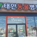 태안동물병원 이미지