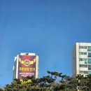 극동방송국 입구 버스정류장 | 2026 0221 가락동, 문정동 산책