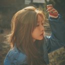 도도해