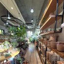 하이드파크 이미지