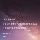 럭키펀치 이미지