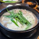 상암순대국 | 상암동 직장인이 추천하는 순대국 맛집, 고향옥 얼큰순대국 상암점 후기