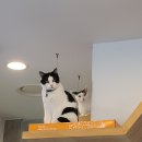 울디 동물병원 이미지