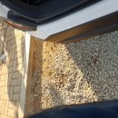 전곡읍 대박 세차&광택 이미지