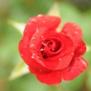 성요한의원 이미지