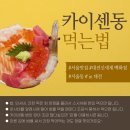 동인(4종)