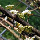 하루를봄 이미지