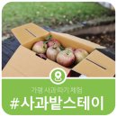사과밭스테이