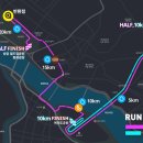 서하마 2026 10km 후기