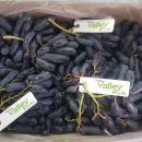 부일농장 이미지