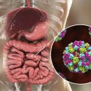 바이러스 이미지