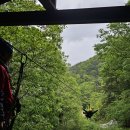 문경짚라인 | [문경 짚라인 후기] 경북 문경 짚라인 9코스 완주! 가족 할인 꿀팁 &amp; 생생 체험 리뷰