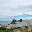 갈맷길(3코스) 이미지