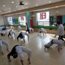 한국체대 비전태권도 이미지