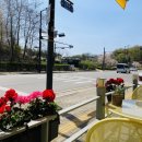 댕스베리 이미지