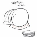 용용이스퀘어