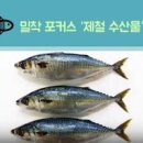 고등어 효능 고등어구이 칼로리 단백질 이미지