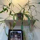 핸드드립 커피 & 라떼아트 | 광안리 조용한 카페 제로커피로스터리 핸드드립 라떼아트 주차 가격