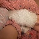 열국칼국수 | 동앵이와 한달살이는 절거워 😘