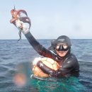 하도어촌체험휴양마을 이미지