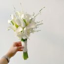 송원서로1R-11 | [공지] 대학생의 결혼준비 기록