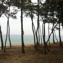 그라시아펜션 이미지