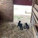 두상농장 이미지