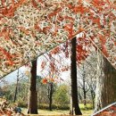 사진예술 이미지