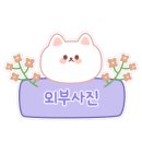 제이든 29 이미지